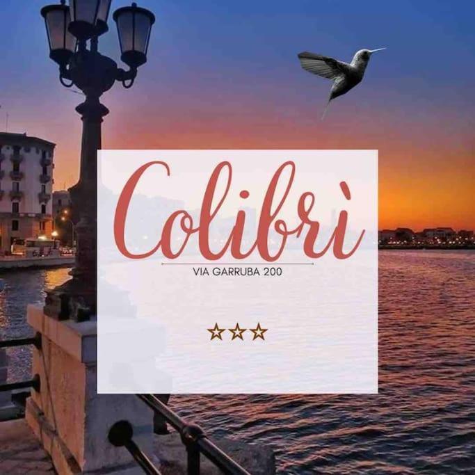 Apartment Colibri /center