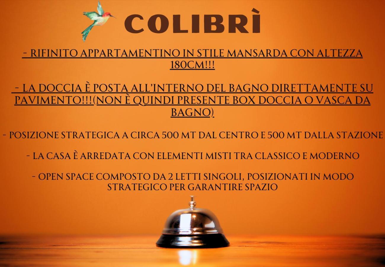 Colibri /center Apartment Bari